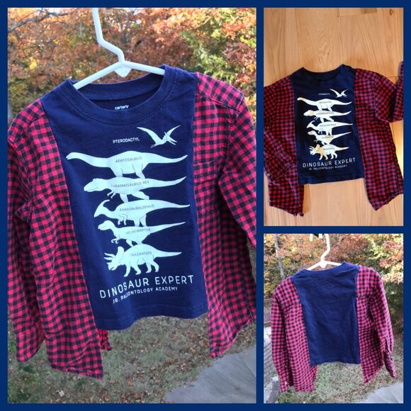 Upcycled Kid’s Flannel Tee: Dinosaur Graphic T-Shirt w/Flannel Sleeves, Size 2-4 - Picture 9 of 9